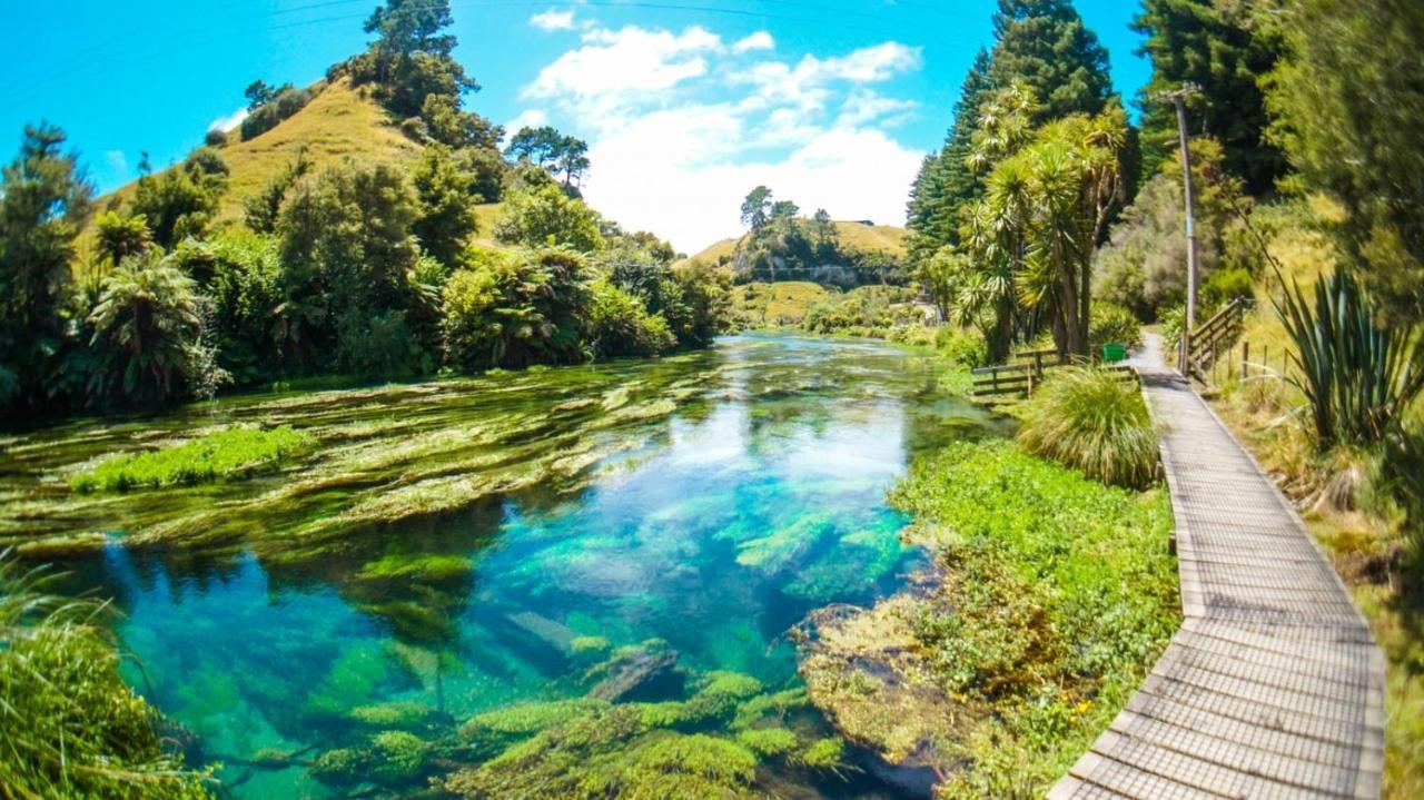 Putaruru Hotel Dış mekan fotoğraf
